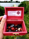 Chakra Box for Chakra Stones 7 Colours on a Stone in Nature Plants Spiritual ROOT RED CHAKRA