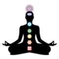 Chakra, cakra, tantric, hinduism, buddhism, vajrayana, meditation, yoga