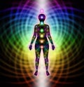 Chakra and Matrix Field Diagram Royalty Free Stock Photo