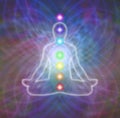 Chakra meditation on matrix energy field Royalty Free Stock Photo