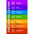 The Chakra System in colorful layers. Isolated Vector Illustration