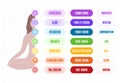 7 chakras chart with meanings and body silhouette. Vector illustration banner