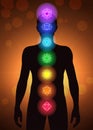 Chakras location in human body vector