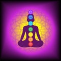 Chakras: muladhara, swadhisthana, manipura, anahata, vishuddha, ajna, sahasrara. Vector line symbol. Om sign. Silhouette of the