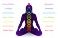 Chakras Names Kundalini Serpent Woman Meanings Symbols Royalty Free Stock Photo