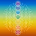 Chakras over flower of life symbol. Symbols for spa, meditation and yoga. Mystical and esoteric icons