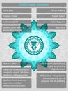 Chakras symbols with description of meanings infographic Royalty Free Stock Photo