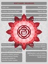 Chakras symbols with description of meanings infographic Royalty Free Stock Photo