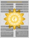 Chakras symbols with description of meanings infographic Royalty Free Stock Photo