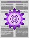 Chakras symbols with description of meanings infographic Royalty Free Stock Photo