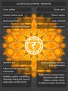 Chakras symbols with meanings infographic