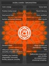 Chakras symbols with meanings infographic