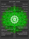 Chakras symbols with meanings infographic