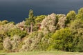 Chalets in Lang Elsies Kraal restcamp