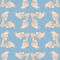 Chalk Browed Mockingbird Vector Background Pattern