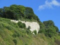 Chalk cliff face Royalty Free Stock Photo
