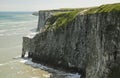 The chalk cliffs, at Bempton in Yorkshire, England.