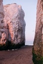 Chalk Cliffs at Botany Bay beach at Broadstairs on the Kent Coastline England UK At Sunset.
