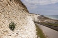 Chalk cliffs at Brighton seafront Royalty Free Stock Photo