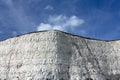 Chalk Cliffs, Rottingdean, East Sussex, UK