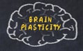Chalk drawing of human brain with inscription brain plasticity Royalty Free Stock Photo