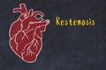 Concept of learning cardiovascular system. Chalk drawing of human heart and inscription Restenosis Royalty Free Stock Photo