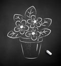 Chalk drawn illustration of flower in pot Royalty Free Stock Photo