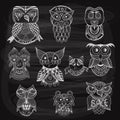 10 chalk drawn owls on blackboard Royalty Free Stock Photo