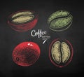 Chalk drawn sketches set of coffee berries Royalty Free Stock Photo