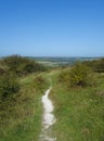 Chalk footpath at Butser Hill ,Hampshire Royalty Free Stock Photo