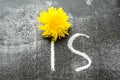 Chalk handwritten inscription Is on a black chalkboard. Bright yellow dandelion part of the inscription