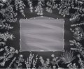 Chalk herbal frame on a blackboard