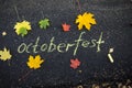 Chalk inscription on the asphalt Oktoberfest. Autumn leaves on the pavement