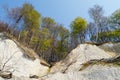 Chalk rock cliff of Rugen Island Germany in springtime. Royalty Free Stock Photo