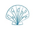 Chalk Seashell Symbol