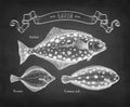 Chalk sketch of flatfish