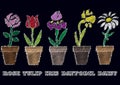 Chalk sketch of flowers in pots Royalty Free Stock Photo