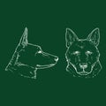 Chalk Sketch German Shepherd Dog Face