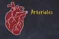 Chalk sketch of human heart on black desc and inscription Arterioles Royalty Free Stock Photo