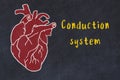 Chalk sketch of human heart on black desc and inscription Conduction system