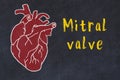 Chalk sketch of human heart on black desc and inscription Mitral valve