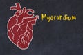 Chalk sketch of human heart on black desc and inscription Myocardium