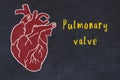 Chalk sketch of human heart on black desc and inscription Pulmonary valve