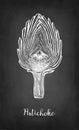 Chalk sketch of sliced artichoke. Royalty Free Stock Photo