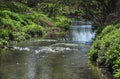 Chalk Stream in North Hertfordshire