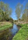 Chalk Stream in North Hertfordshire