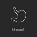 Chalk style health care ui icons collection. Vector white linear illustration. Stomach anatomy symbol isolated on black board