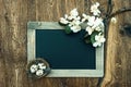 Chalkboard with apple tree blossom, easter eggs