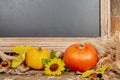 Chalkboard autumn sill life with pumpkin