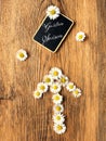 Chalkboard with beautiful daisies